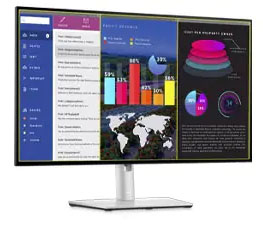 Dell IPS Monitor